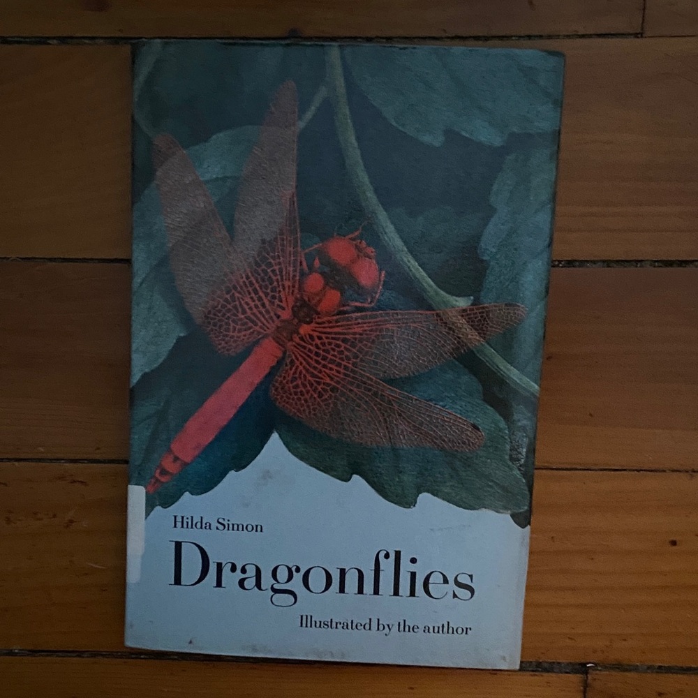 Vintage 70s 1970s Dragonfly Dragonflies Illustrated Book Nature outdoors insect